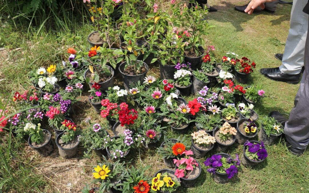 كلية العلوم الإسلامية تواصل صناعة بيئة جامعية خضراء بحملة تشجير واسعة داخل الحرم الجامعي